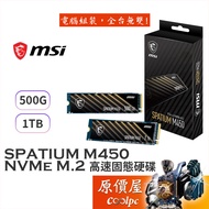 MSI SPATIUM M450 V1 M.2 PCIe 4.0 SSD NVMe M.2 SSD [Multi-Capacity Optional] Solid State Drive/Origin