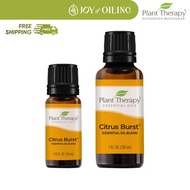 PLANT THERAPY Citrus Burst Essential Oil Blend (10ml/30ml)