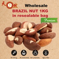 Brazil Nut Wholesale Awesome