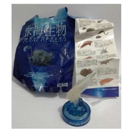 絕版 2001年 海洋堂 KAIYODO 第一彈 樽蓋系列 深海生物 特別版 蝸牛魚 1款