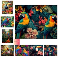 Nong Yang-30*40cm/40*50cm-painting by number -Healing Colorful Parrot Digital Oil Painting-canvas pa