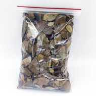 Dried Acacia Leaves - Leaf Litter for Isopods