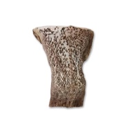 Grouper Fish Tail 石斑鱼尾