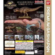 Biological Illustrated Book Dinosaur Illustrated Book Tyrannosaurus Rex Ornaments Capsule Toys