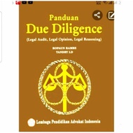 Due Diligence Guide (audit Leg, opinion Leg, reasoning Leg), Rambe & Tandry L.D