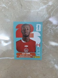 2022 FIFA World Cup Panini 球星咭