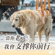 狗狗助行帶 復健散步 減輕負擔 寵物輔助