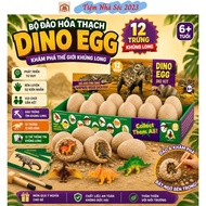 Dinosaur fossil archeology toy with 12 eggs and 12 digging tools dinosaur egg dinosaur fossil