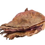 Natural almond leaves for aquarium 30 leaves