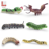 [Shiwaki3] 6 3D Simulation Larvae Models, Educational Model Decor, Miniature Layout, Caterpillar Toy