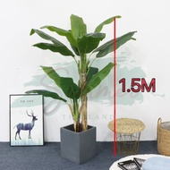 ต้นกล้วย ต้นไม้ปลอม เหมือนจริง ราคาถูก แต่งบ้านแต่งสวน ราคาถูกที่สุด Plant-L(BJS)