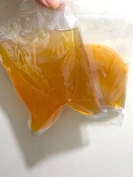 (送紅茶葉) 200g 高活性康普茶DIY包 Kombucha Scoby 紅茶菌