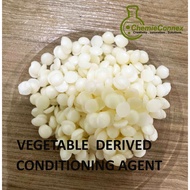 Armocare VGH 70 I Plant Base I BTMS Replacement I US