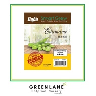 Baba Edamame Seed 健康毛豆