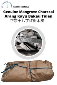 ±3kg Mangrove Charcoal / Arang Kayu Bakau / 红树木炭 / 火炭 (Kuala Sepetang / 十八丁)