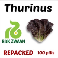 Event promotion Thurinus Package 1000pcs Rijk Pelleted Lettuce  Original RZ   Repacked Zwaan Seeds