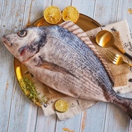 Large Dorado Fish Pouch Canvas Material for Makeup Pencil Stationery Shrelo Indonesian Creation 42x1