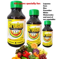 Brodan - insecticide and for vegetables worms prevention