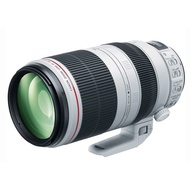 Canon EF 100-400mm F4.5-5.6L IS II USM