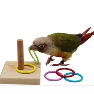 Bird toys bird accessories