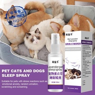 Pet Cats And Dogs Sleep Spray Relieve Pets Mood Does Hurt Not Pets D3O4