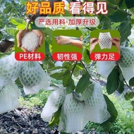 Guava Mesh Bag Mesh Bag Mesh Bag Guava Insect-Proof Mesh Bag Dedicated Integrated Foam Packaging Bag