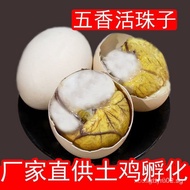 ⭐⭐Spiced Spicy Balut Eggs13Day Embryonated Egg Egg Half Red Eggs Tempered Egg Non-Egg Wholesale⭐⭐