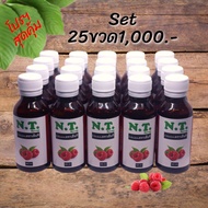NT Syrup น้ำเชื่อมเข้มข้นตราเอ็นที ( ครึ่งลัง 25 ขวด 1000- )