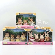 Forest Family Red Squirrel Family/Kangaroo Family/Coco Rabbit