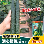Lu Win Oily Full Core Green Cucumber F1 Seed Farmland Vegetable Garden Sowing Base Green Skin Green 