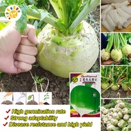 [Easy to plant seeds] 100% Fresh Organic Tuberous-rooted Mustard Seeds (300 seeds)Radish Seeds for P
