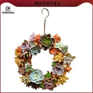 [SONONIA] Iron Wire   Pot Rack Wedding Garden Decor NEW Great for decorations during  and any other 