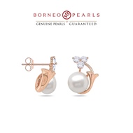 Borneo Pearls House of Pearls Earring Collection