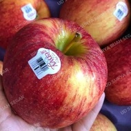 Buah-Buahan!! buah apel envy jumbo 1kg