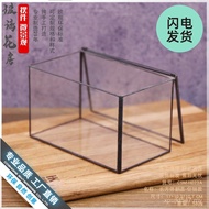 Moss Glass Room Decoration Miniature Moss Flower Pot Ecological Bottle Forest Box Bonsai Desktop Cyl