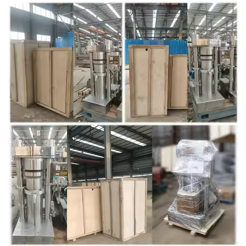 Hydraulic Cold Press Oil Extraction Machine for Coconut Avocado Cocoa Butter Sesame Castor Oil Cold 