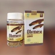 olimex kapsul minyak ikan gabus albumin