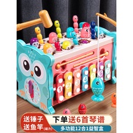 Baby 6 Months 12 Weeks