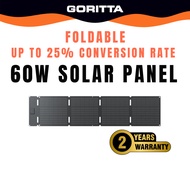 EcoFlow 60W Portable Solar Panel (Type-C)
