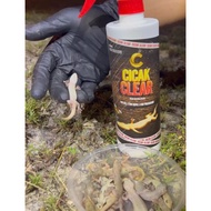 SPRAY CICAK CLEAR ORIGINAL | BERKESAN BASMI CICAK