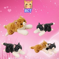 BCT   Cute Cat Plush Toy Plush Pillow Cat Stuffed Toys for Kids Children's Day Gift: Graduation Exch