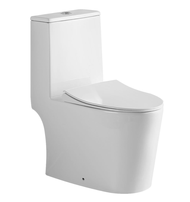 Rubine Piz Fora 106 Rimless Funnel Flushing or Tiara 777 Rimless Turbo Tornado Flushing 1-Piece Toilet Bowl