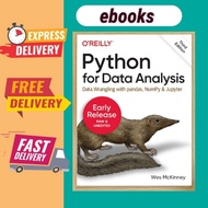 python for data analysis EBOOK
