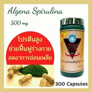 ALGENA สาหร่ายสไปรูลินา 500 mg. ขนาด 300 แคปซูล Spirulina สาหร่ายเกลียวทอง โปรตีนจากพืช ลดอ่อนเพลียระหว่างวัน ทานได้ทั้งเด็กและผู้ใหญ่