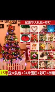 Christmas  tree 1.5米聖誕樹