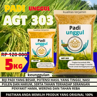benih padi agt 303 original premium