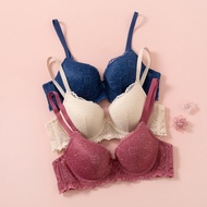 Felancy Wired Lace Bra 073-01332