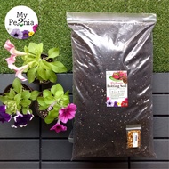 Petunia Potting Soil (Mostly Peat Moss + Perlite) Tanah Petunia 2kg