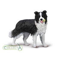 Collecta 80012 Dogs & Cats - Border Collie Model Toy