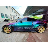 CAT bunglon 5 warna 100 ml Cat Motor Mobil Dan Sepeda